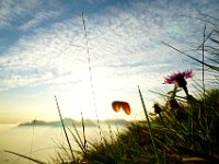 01.005.Idrosee : Idroseetraining, Sonnenuntergänge, Starts