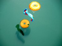 05.002.April : Gleitschirmfliegen, Idroseetraining, Independence, Rettungsschirme