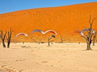 04.001.Namibia : Dünen, Gleitschirmfliegen, Groundhandling, Landschaften, Namibia, Natur