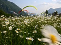 04.009.Idrosee : Frühling, Groundhandling, Idroseetraining, Pflanzen