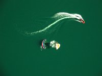 05.006.Wasserlandung : Gleitschirmfliegen, Idrosee, Rettungsboot, Rettungsschirme, Wasserlandung