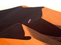 06.020.Namibia : Dünen, Namibia