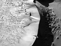 08.031.Namibia : Dünen, Namibia