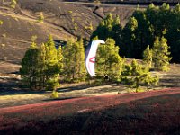 10.001.LaPalma : Eki, Frühling, Gleitschirmfliegen, La Palma, Natur, Skywalk