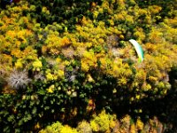 10.011.Chiemgau : Skywalk