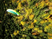 10.013.Chiemgau : Skywalk