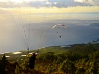 11.022.LaPalma : Gleitschirmfliegen, La Palma