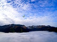 12.015.Achensee : Skywalk, Spirale